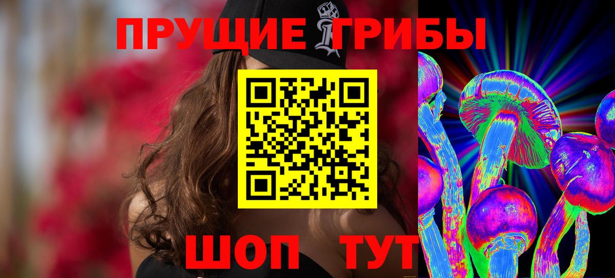 Галлюциногенные грибы Psilocybine cubensis Будённовск