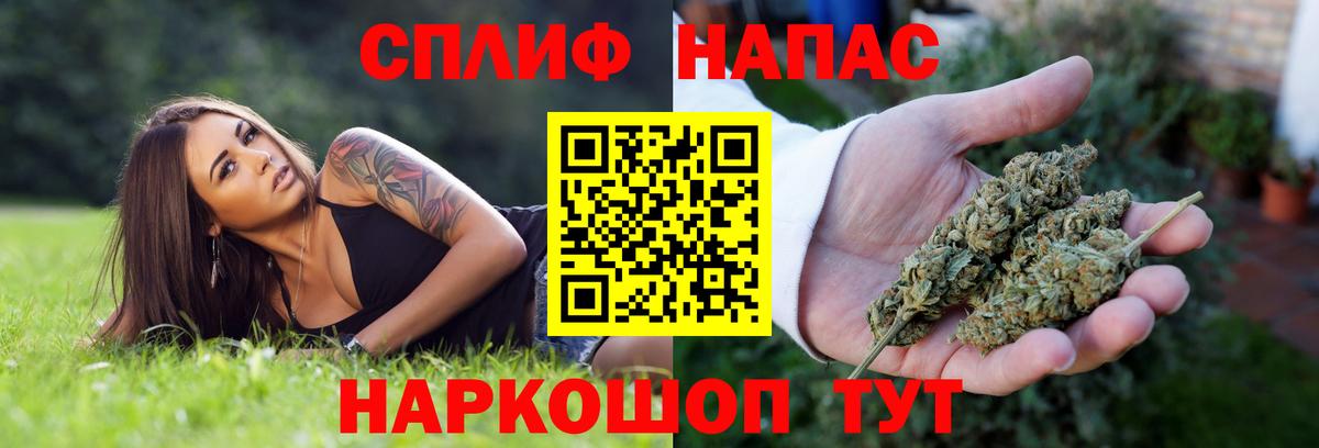 Марихуана SATIVA & INDICA Будённовск